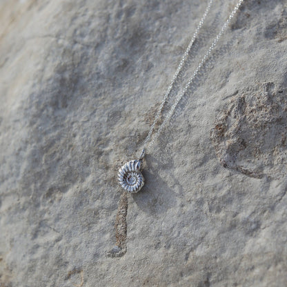 Ammonite Fossil Charm Necklace
