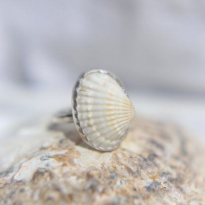 White Ark Shell Ring