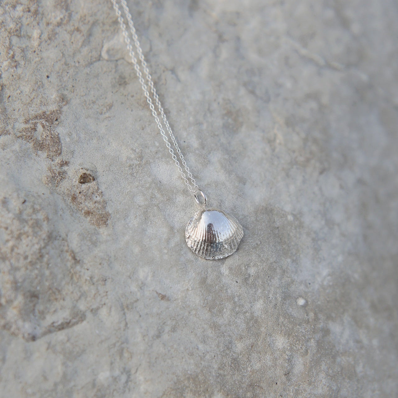 Silver Clam Shell Necklaces