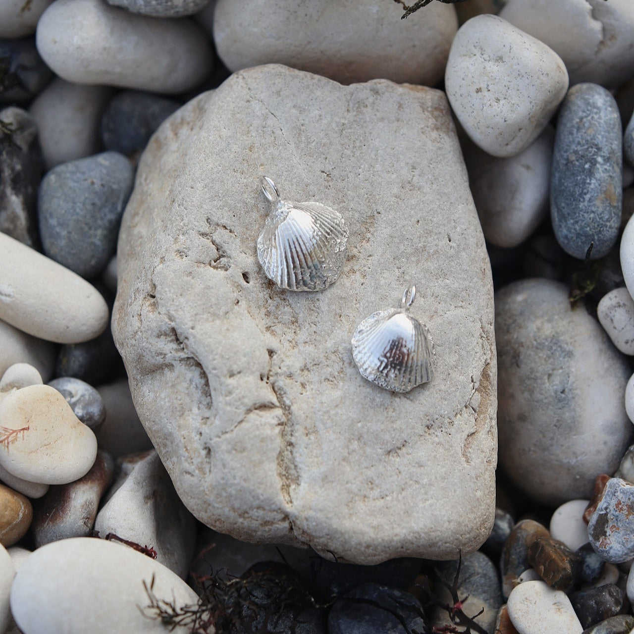 Silver Clam Shell Necklaces