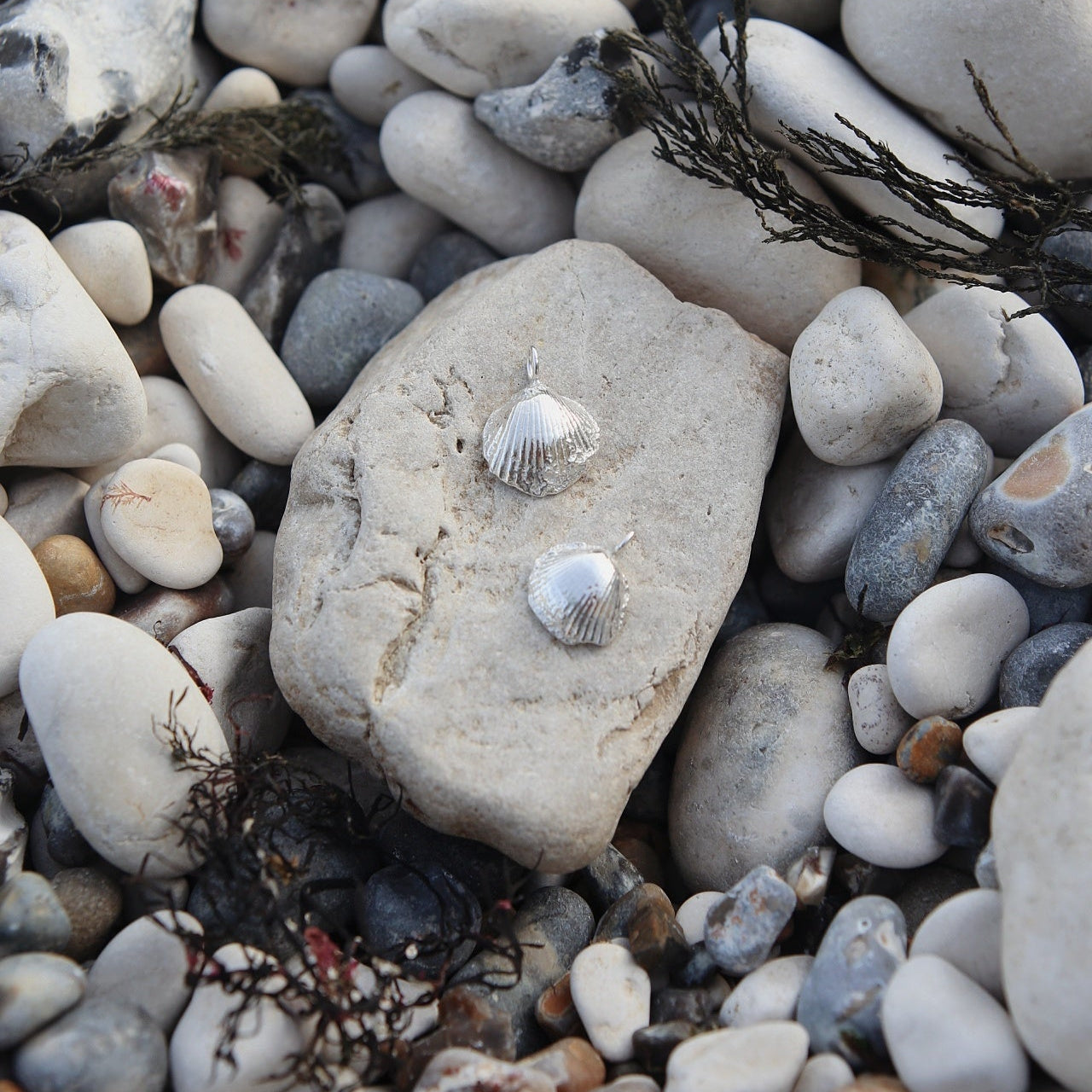 Silver Clam Shell Necklaces
